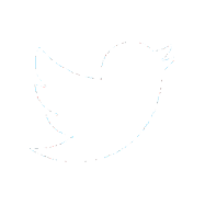 1_icon-twitter